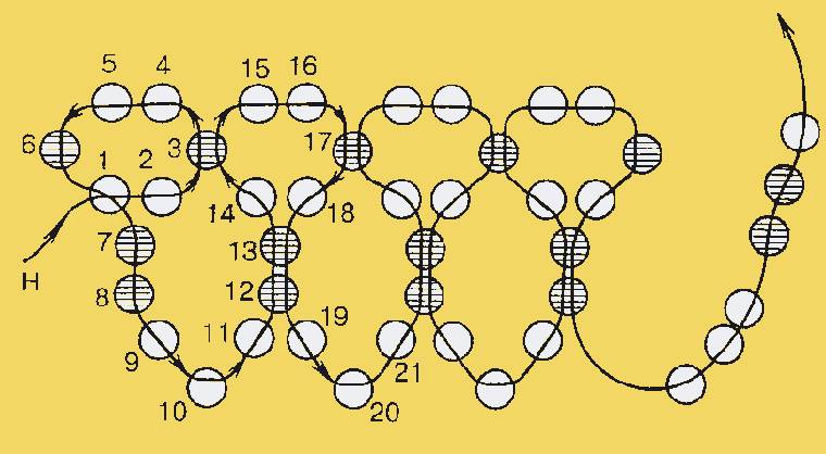 她用鱼线把一颗颗圆珠串起来，竟然会变成这样！