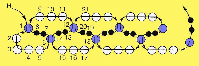 她用鱼线把一颗颗圆珠串起来，竟然会变成这样！