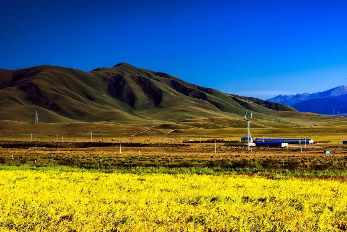 「醉青海」成都到青海湖自驾攻略（线路、花费、装备）