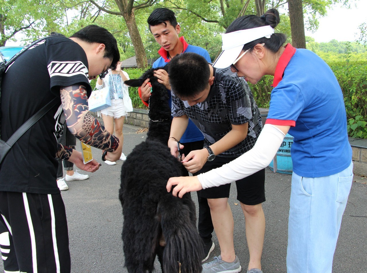 雅戈尔动物园门票免费几天,国庆节雅戈尔动物园免门票吗