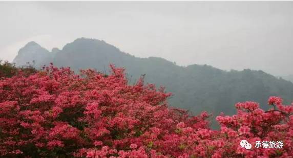 承德周边的小众游玩地！初秋去玩刚刚好