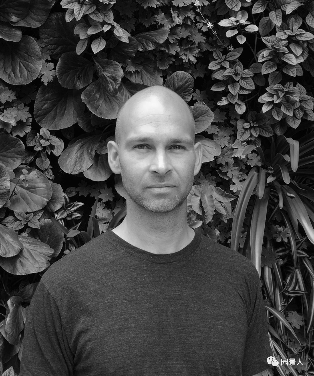 一说到垂直绿化，脑袋里就蹦出他，他，他（附失败案例经验总结）