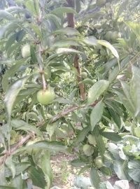 户外小白成长记,户外小白进阶课