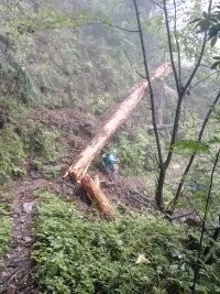 户外小白成长记,户外小白进阶课