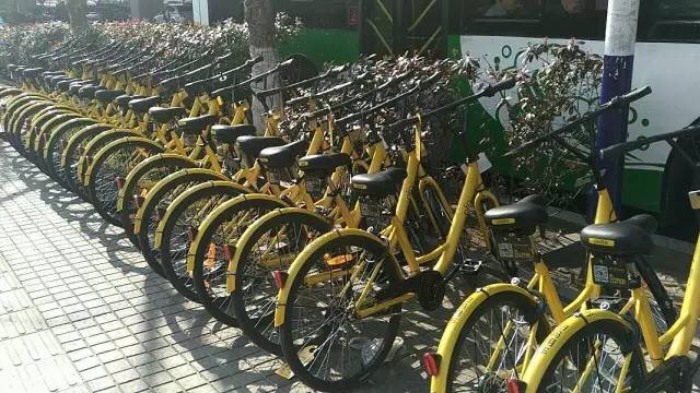 青岛的魅力有多大,青岛很有文化底蕴