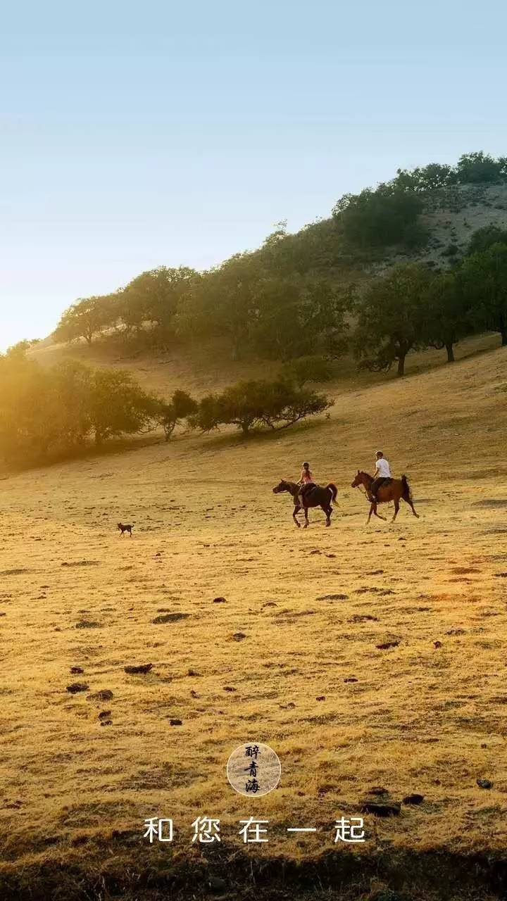 「醉青海」成都到青海湖自驾攻略（线路、花费、装备）
