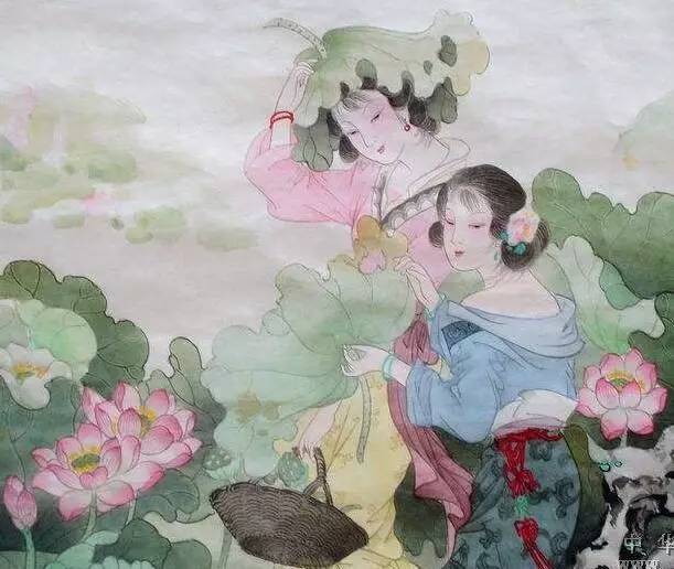 独爱莲花,美文欣赏余秋雨笔下的爱