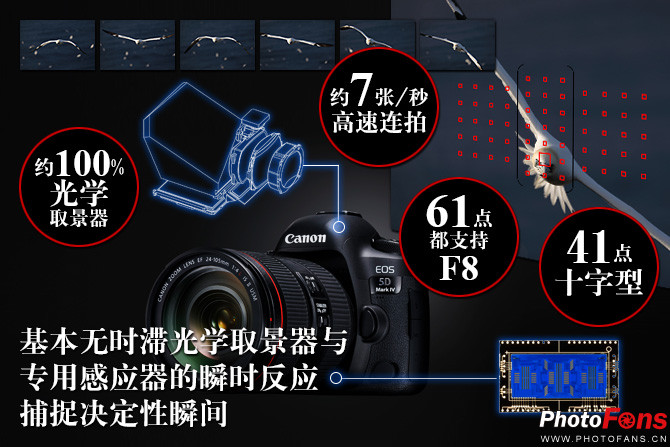 无敌是多么寂寞2008,无敌是多么寂寞mtv