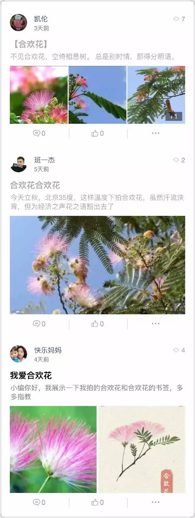 花之声舞蹈完整版,睡莲开花一天开的全部过程