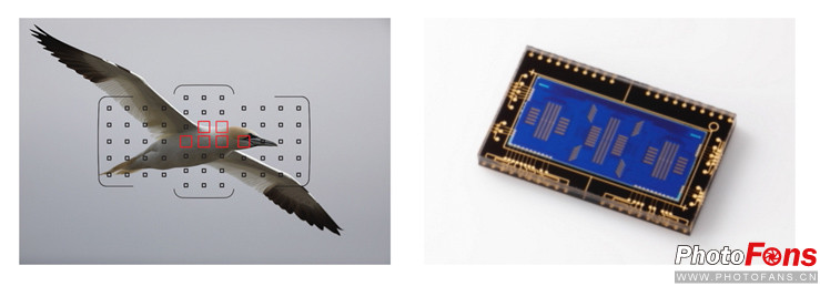 无敌是多么寂寞2008,无敌是多么寂寞mtv