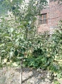 户外小白成长记,户外小白进阶课