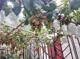 户外小白成长记,户外小白进阶课