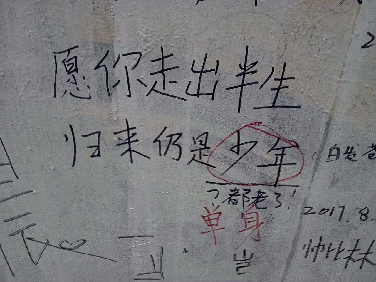 户外小白成长记,户外小白进阶课