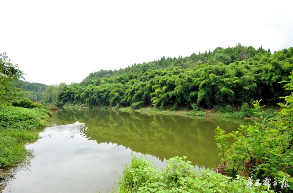 四川南充西河水清岸绿鱼儿跃河长邀您去游泳