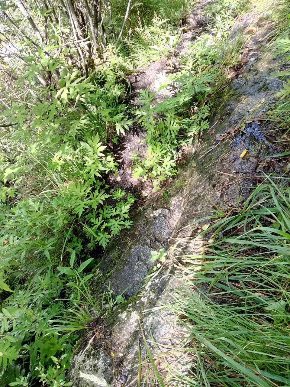 户外小白成长记,户外小白进阶课