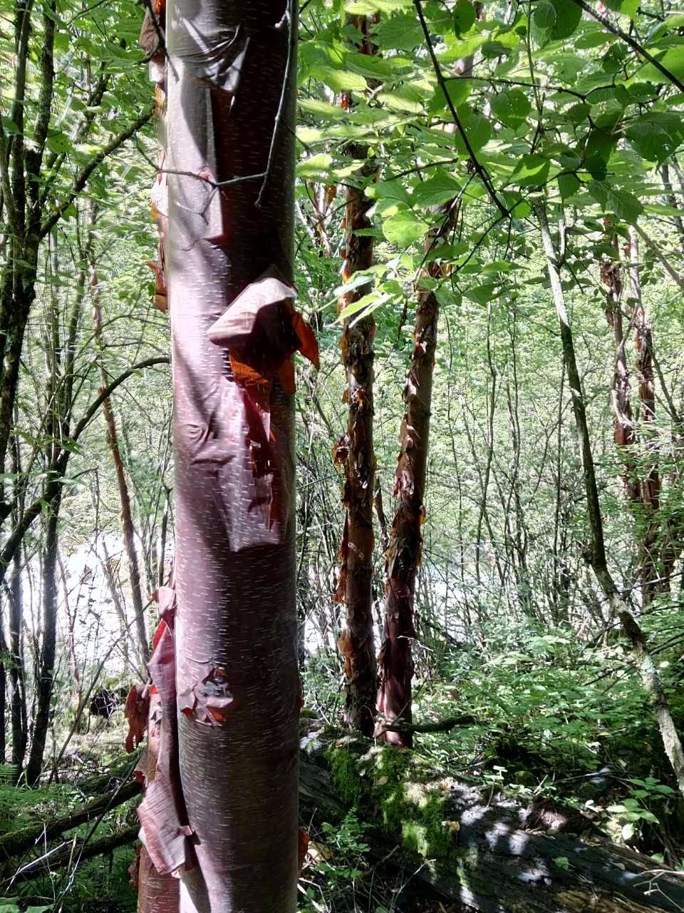 户外小白成长记,户外小白进阶课
