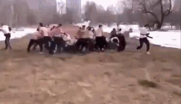 vg还有啥游戏,vg必玩十大游戏