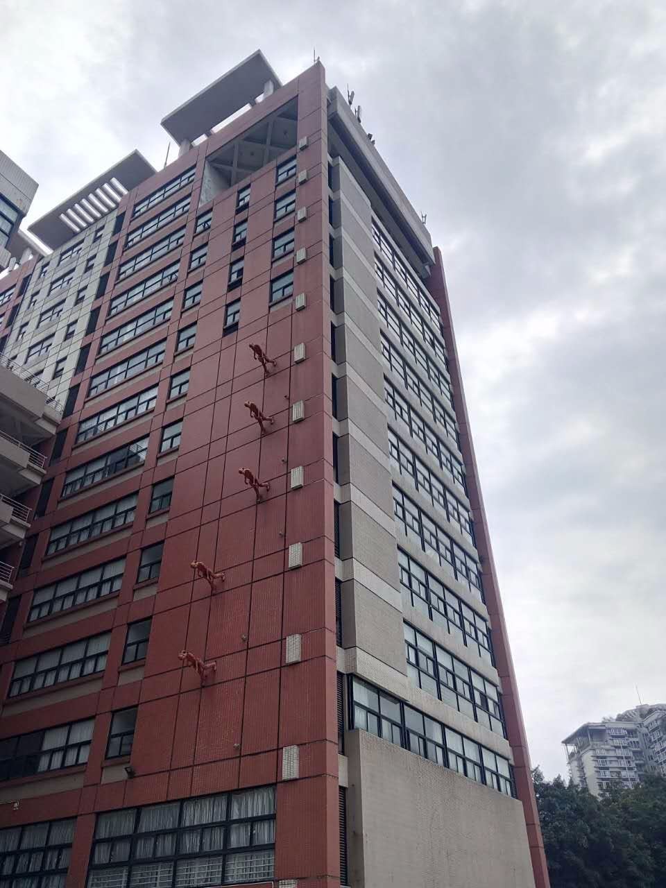 户外小白成长记,户外小白进阶课