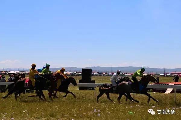 纵马扬鞭御风飞行丨九色甘南香巴拉·玛曲第十一届格萨尔赛马节隆重开幕
