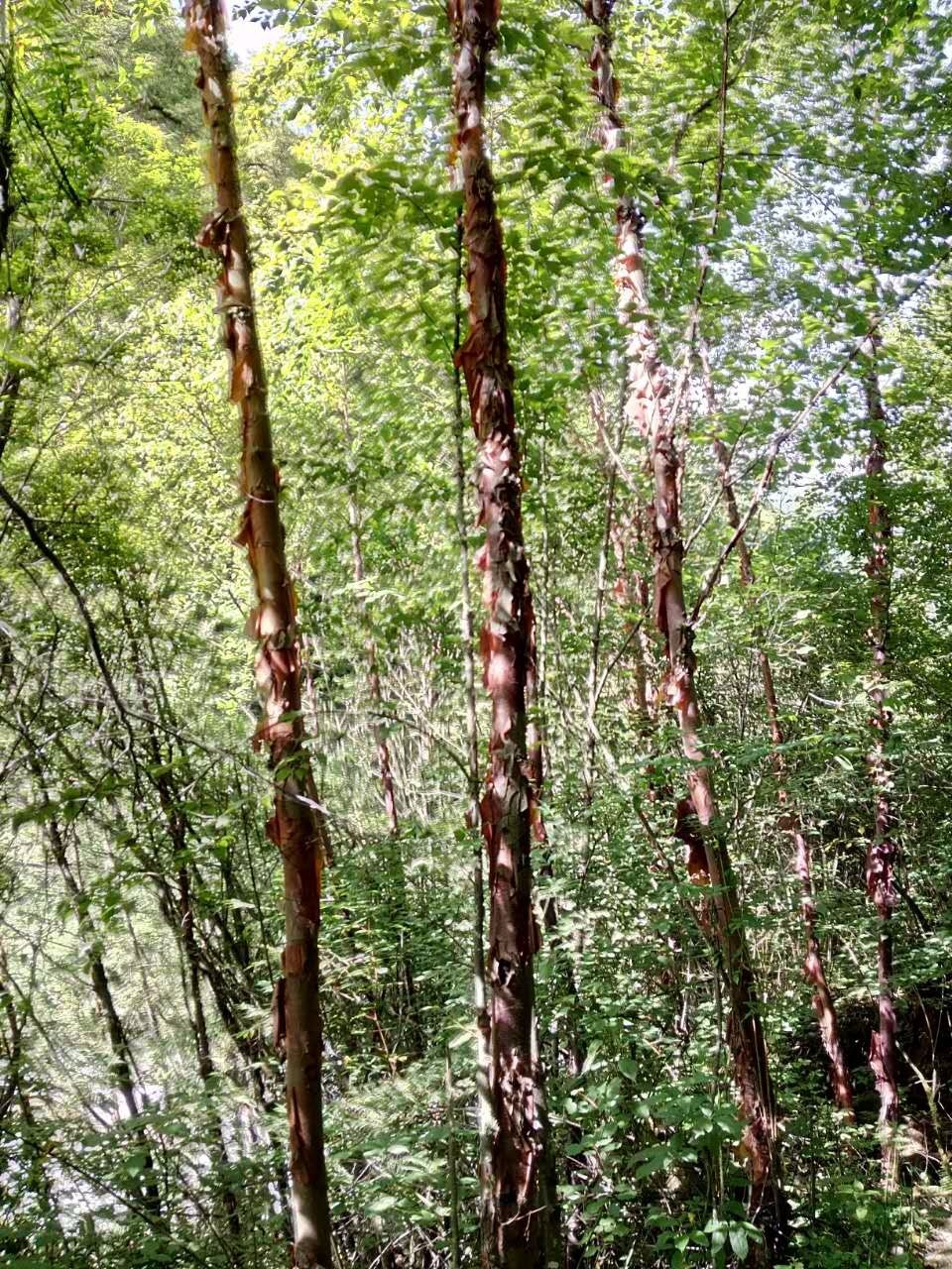 户外小白成长记,户外小白进阶课