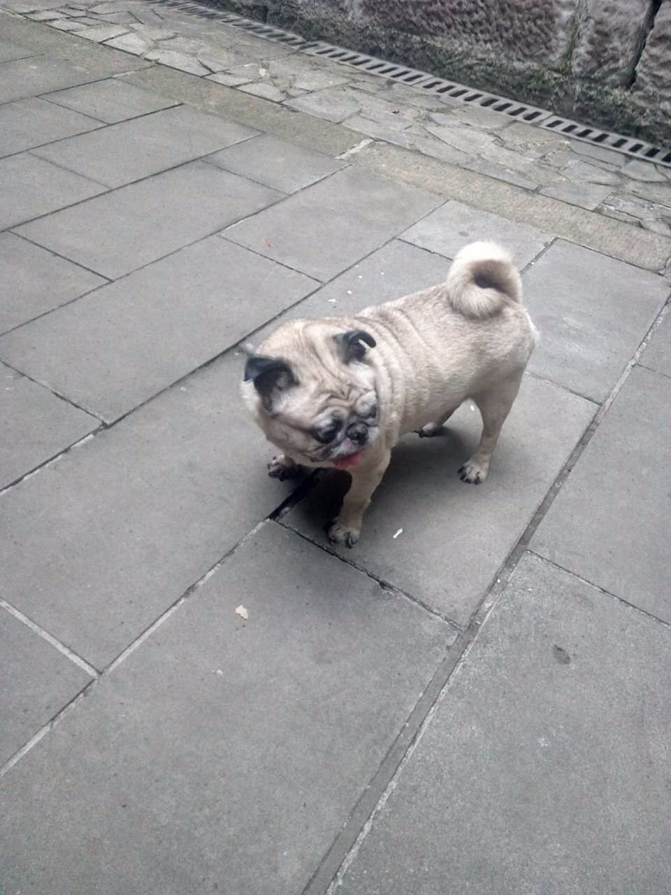 户外小白成长记,户外小白进阶课