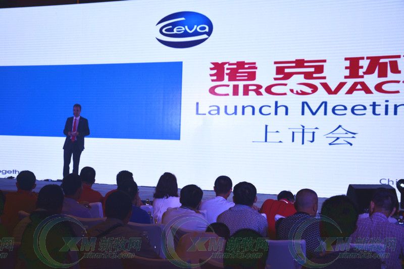 猪圆环价格,诗华圆环优势