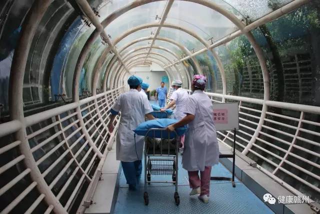 祝四胞胎心想事成,祝福双胎宝宝健康成长