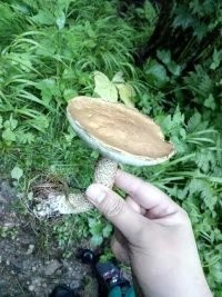 户外小白成长记,户外小白进阶课