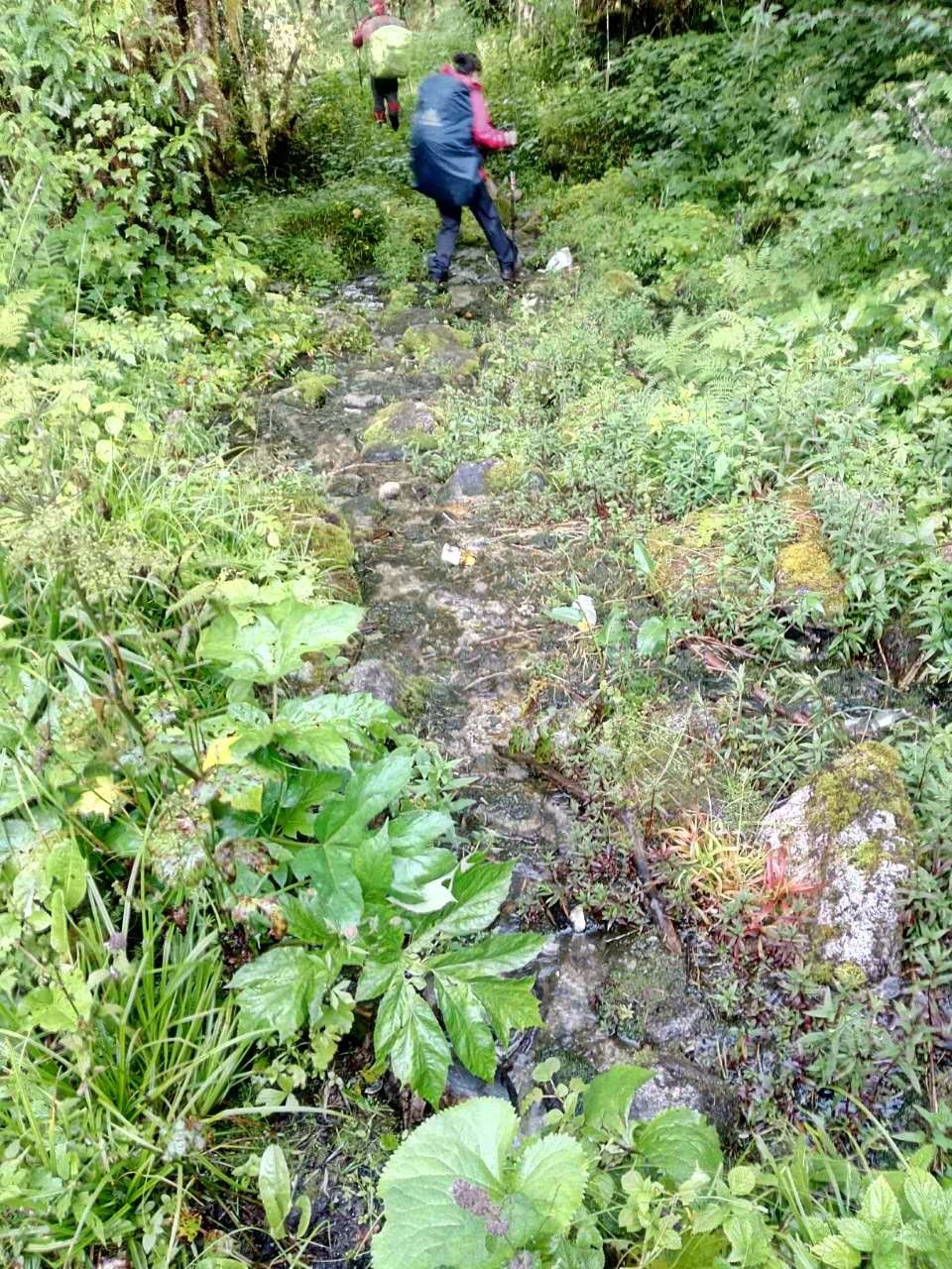 户外小白成长记,户外小白进阶课