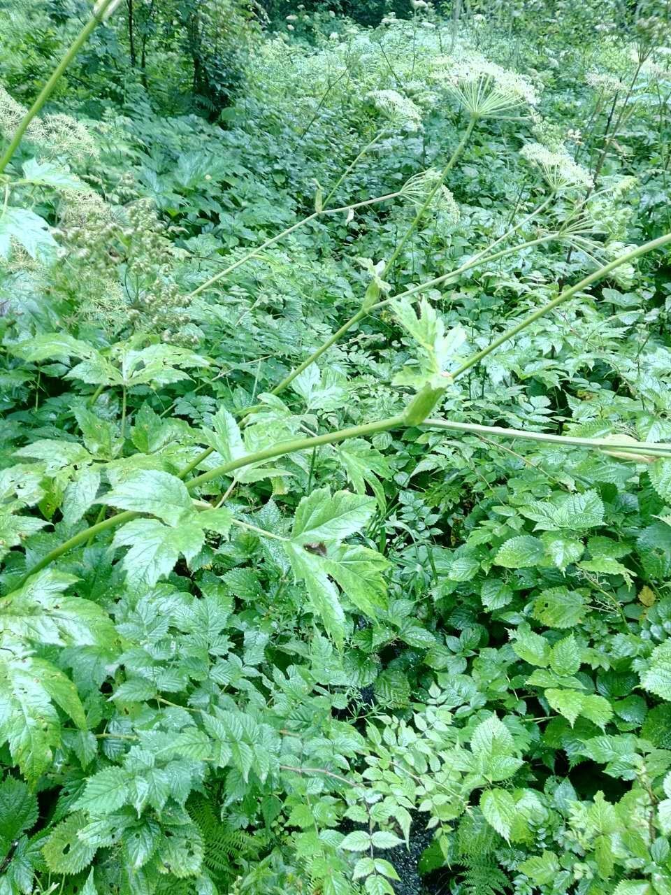 户外小白成长记,户外小白进阶课