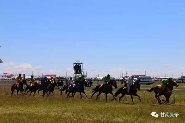 纵马扬鞭御风飞行丨九色甘南香巴拉·玛曲第十一届格萨尔赛马节隆重开幕