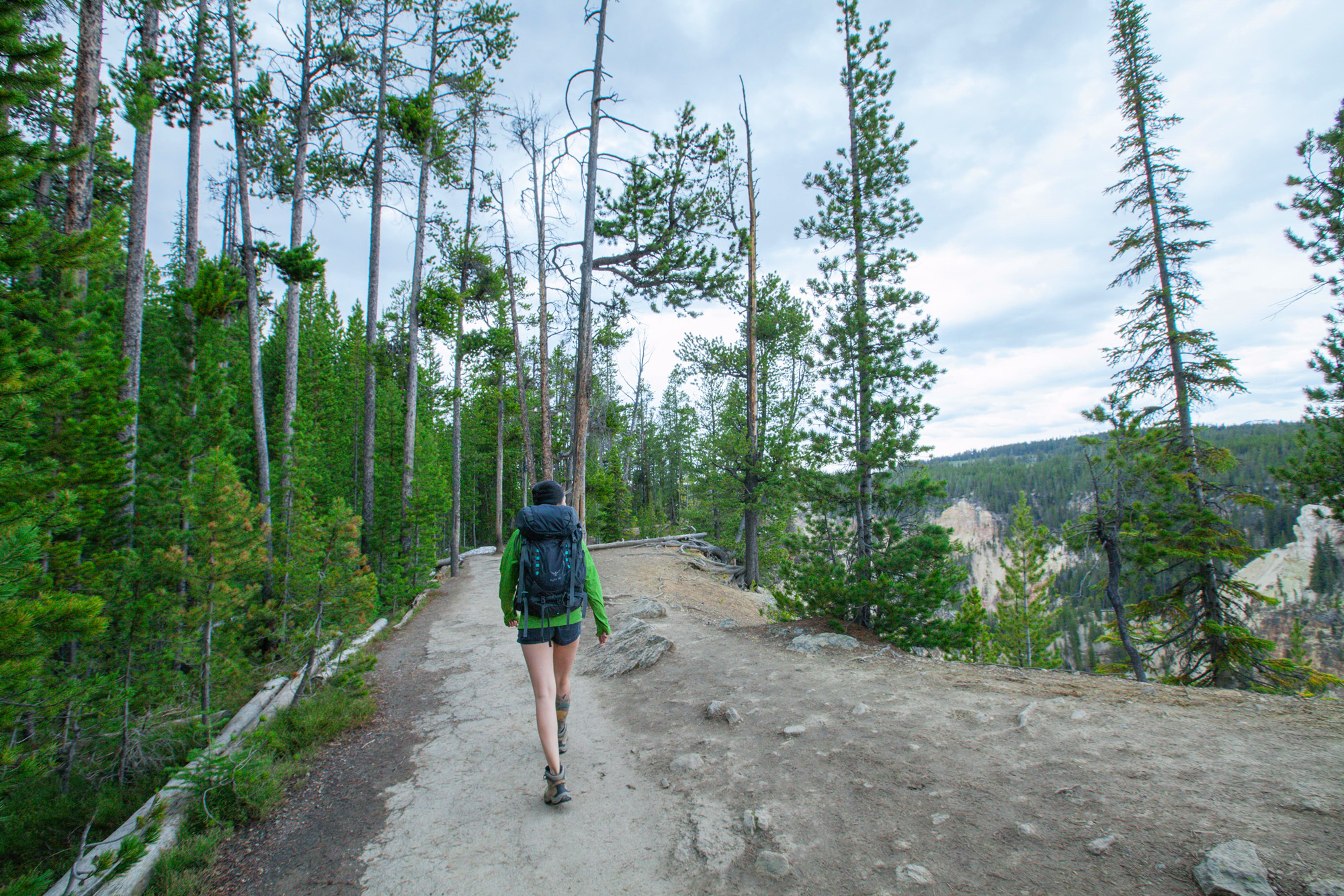 老款鹞鹰58l登山包,鹞鹰登山包推荐