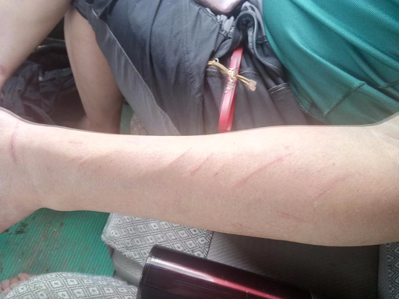 户外小白成长记,户外小白进阶课