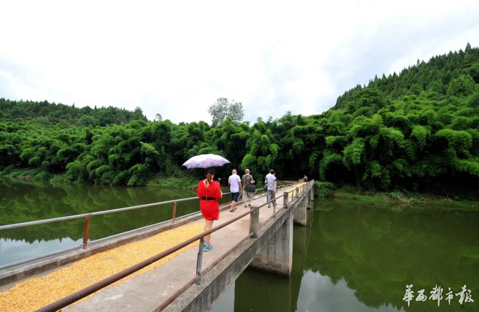 四川南充西河水清岸绿鱼儿跃河长邀您去游泳