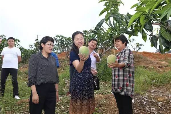 「新声快讯」玉溪（细支初心）新品丽江也要卖了/9月8日秋高气爽丽江茶博会邀你喝茶……