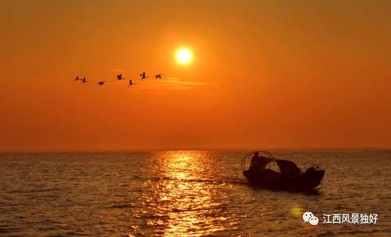 江西共青城风景区,走遍江西100县
