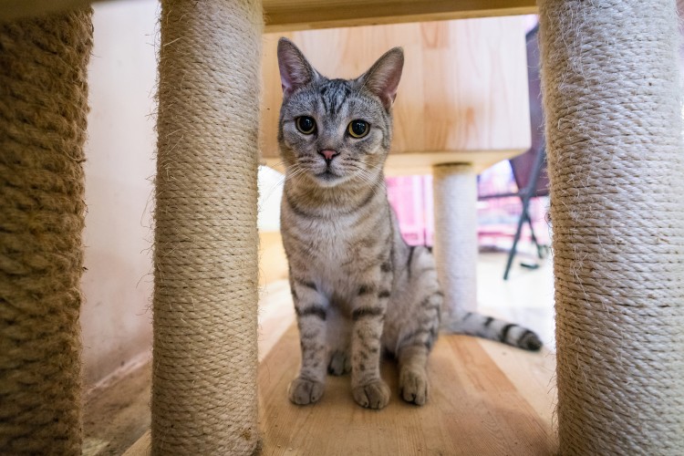 索尼fe35f2.0定焦镜头评测,索尼16-35全画幅广角