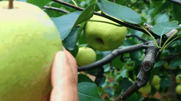 抓住暑假尾巴来一波,抓住暑假的尾巴来钓鱼