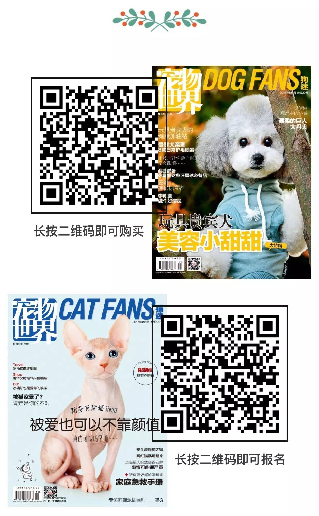 救命啊！主子溺水、触电、中毒了怎么办？！丨强档