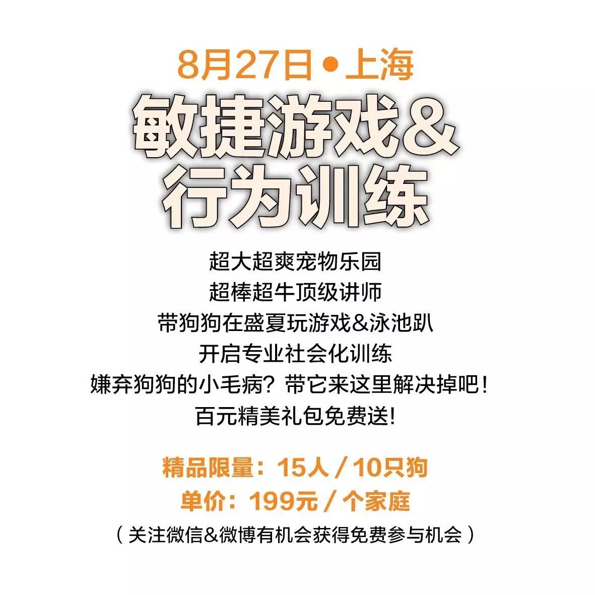 救命啊！主子溺水、触电、中毒了怎么办？！丨强档