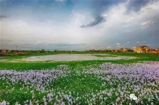 禅城小岛,禅城周边海边景点有哪些