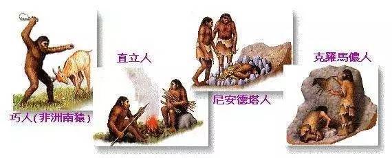 哪种毛线暖和耐穿,买毛线有哪些关注事项呢