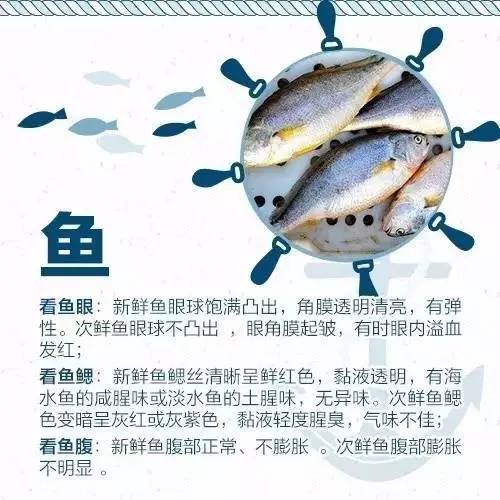 日照开海后什么时候买海鲜,日照开海首日海鲜