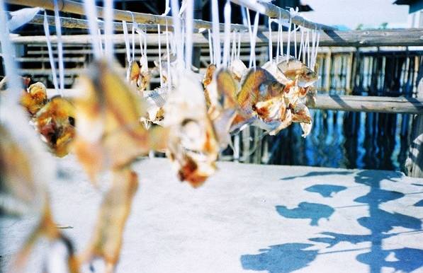 禅城小岛,禅城周边海边景点有哪些