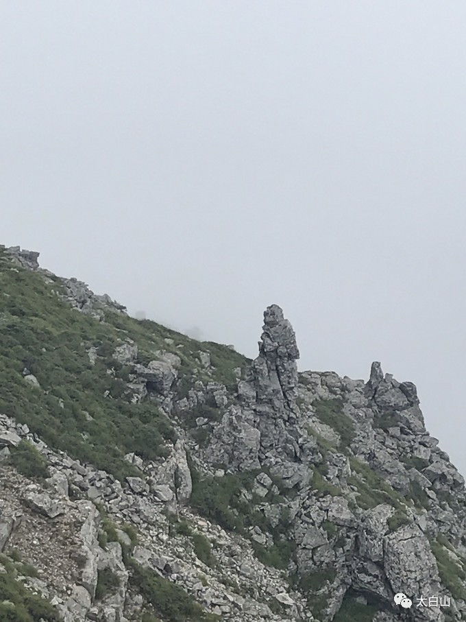 太白山游记下集视频,太白山一日游游记400字