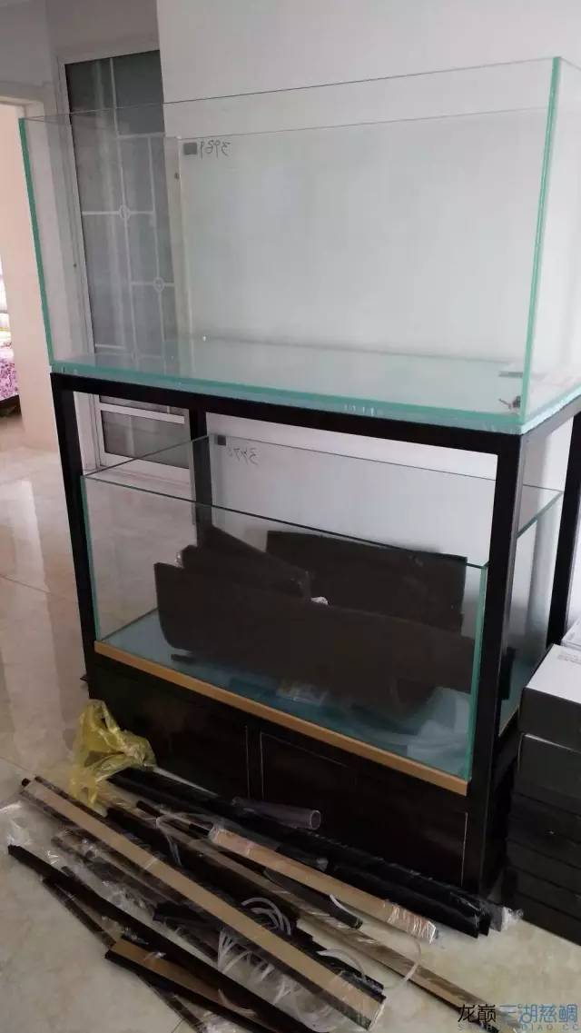 从零开始原生缸,从零开始造景缸