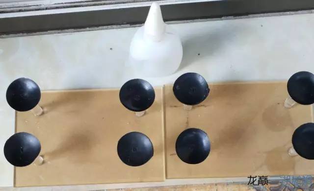 从零开始原生缸,从零开始造景缸