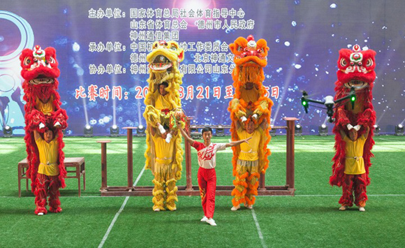 全国第二十二届机器人比赛,全国机器人运动大赛