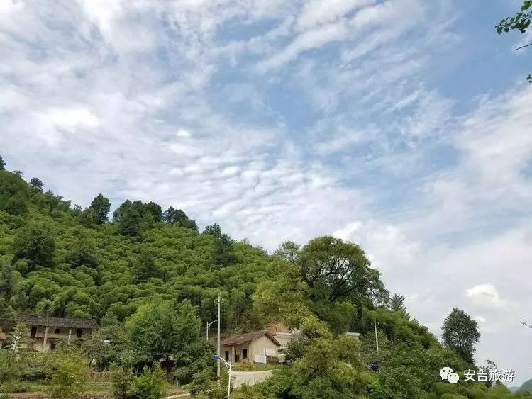 游玩中国大竹海,中国大竹海旅游