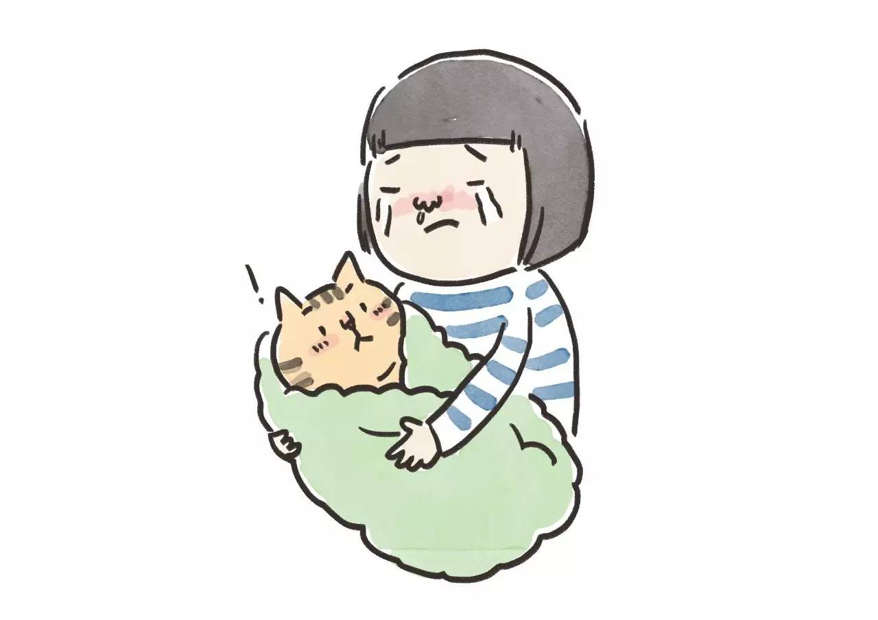 救命啊！主子溺水、触电、中毒了怎么办？！丨强档